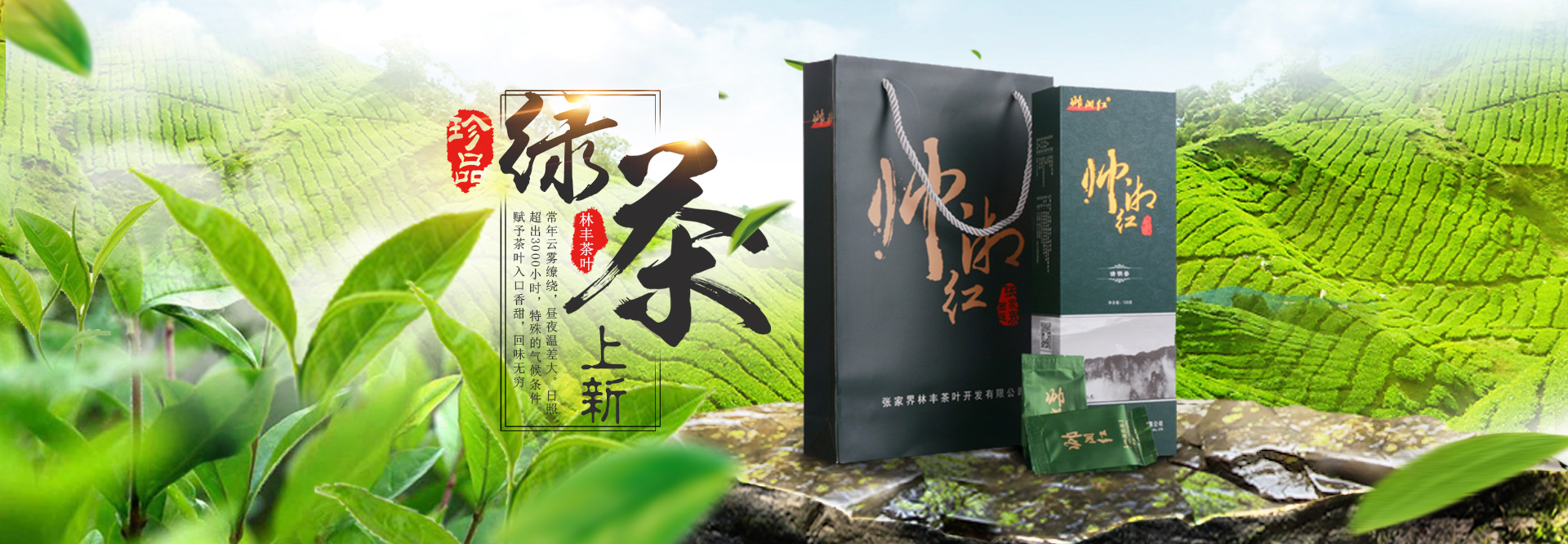 张家界林丰茶叶开发有限公司_张家界茶叶开发|茶叶种植|桑植白茶加工|帅湘红销售